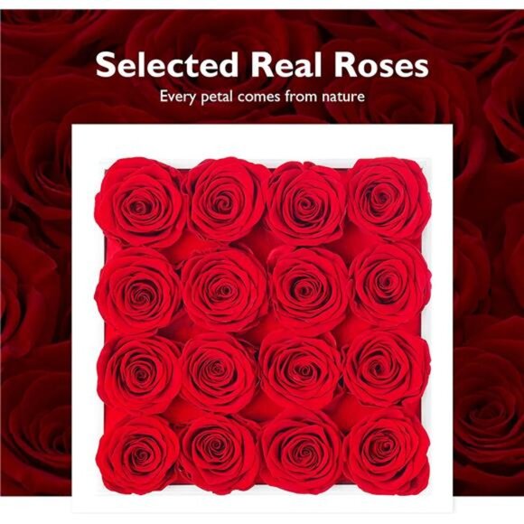 Eterfield Forever Flowers Preserved Roses Real Roses That Last a Year Rose Box - Picture 12 of 14